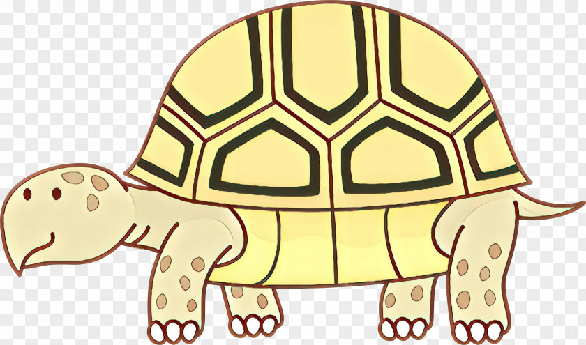 Box Turtle Yellow Sea Background PNG