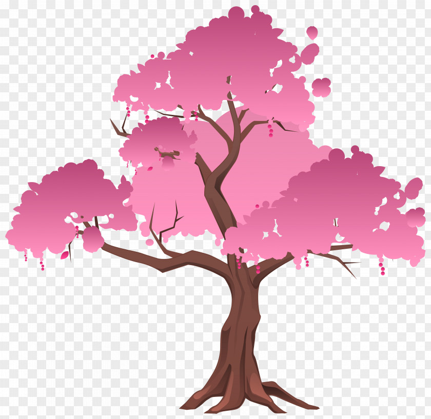 Cherry Blossom Japanese Maple Red Tree Clip Art PNG