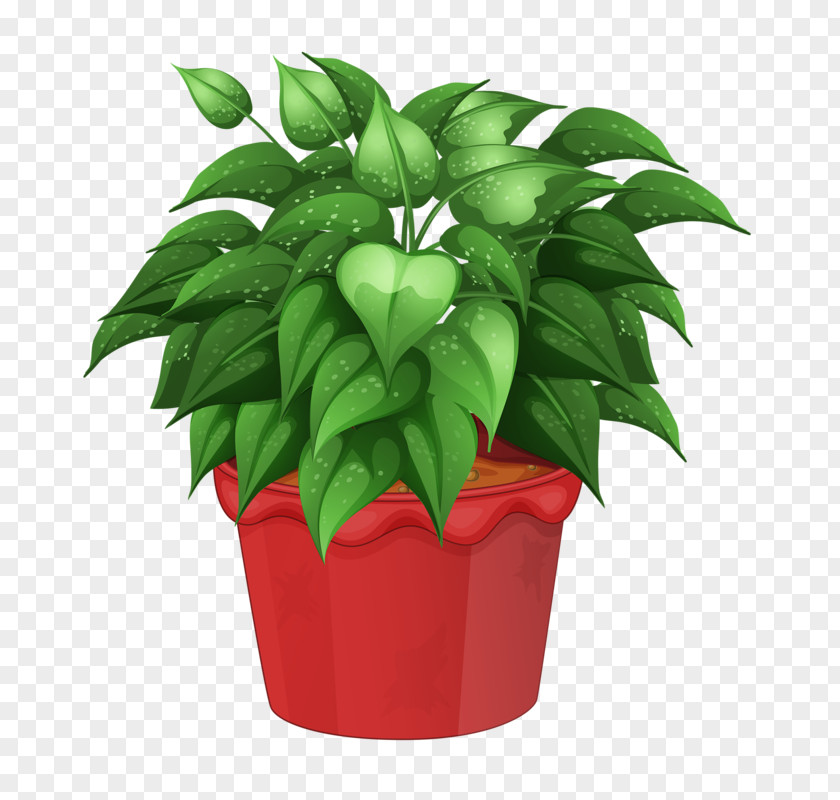Flower Pot Flowerpot Houseplant Garden Clip Art PNG
