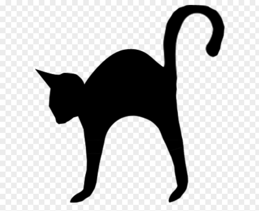 Kitten Black Cat Drawing Clip Art PNG