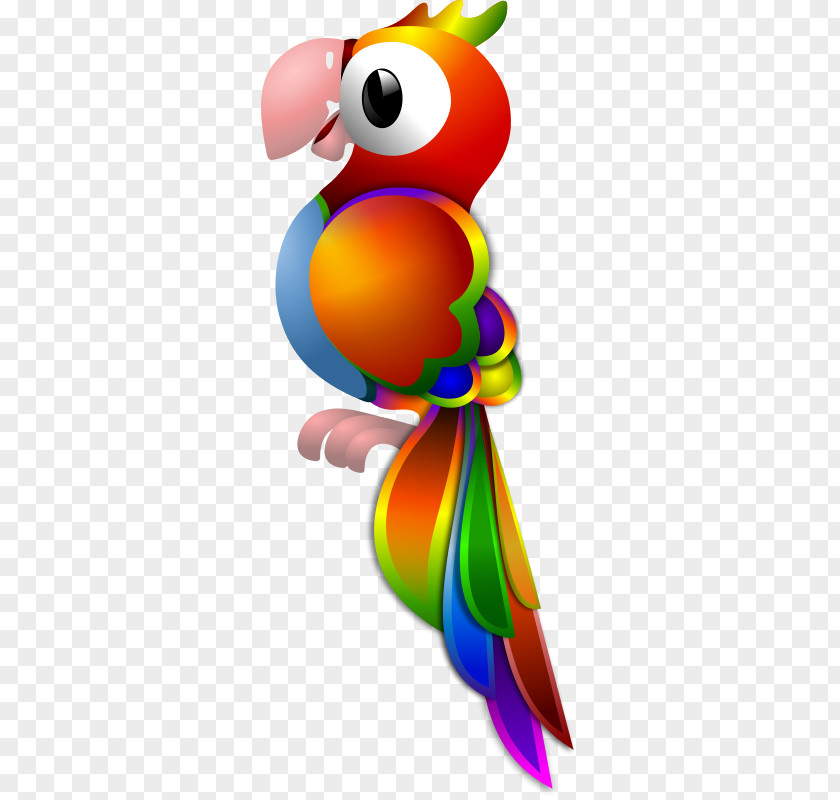 Parrot Cliparts Pirate Bird Parakeet Clip Art PNG