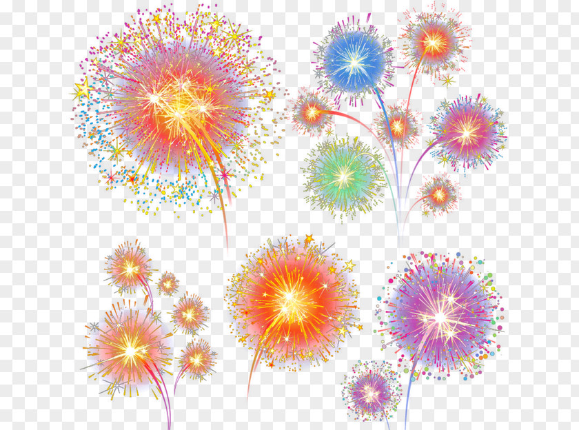 Fireworks Floral Design Sky Petal Dahlia Pattern PNG