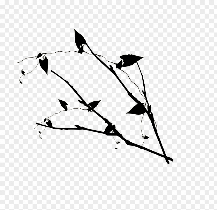Leaves Branches Twig Leaf Drawing Clip Art PNG