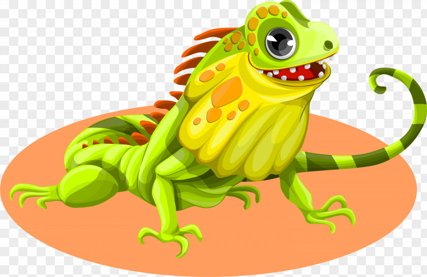 Lizard Cartoon Vector Green Iguana Reptile Clip Art PNG