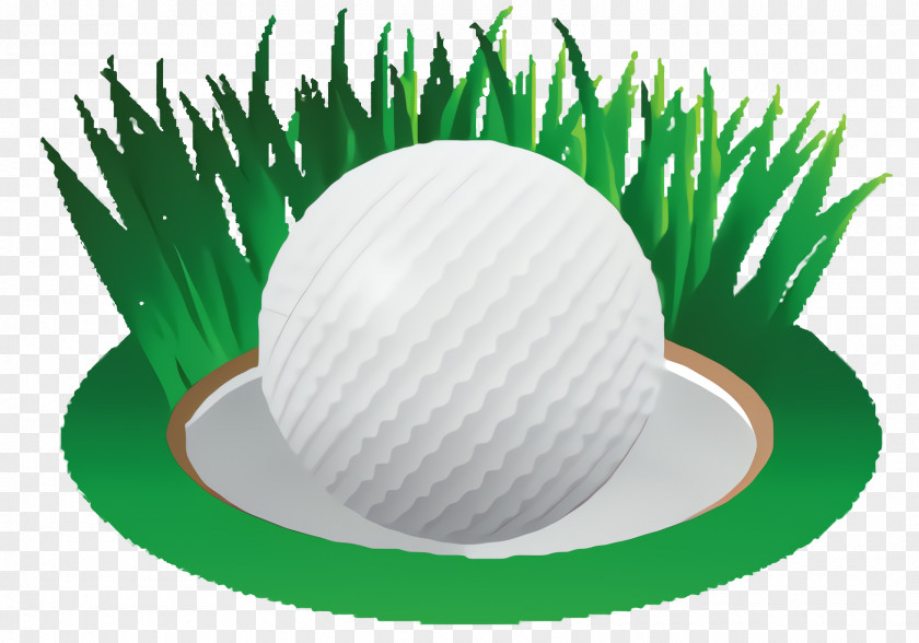 Logo Ball Green Grass Background PNG