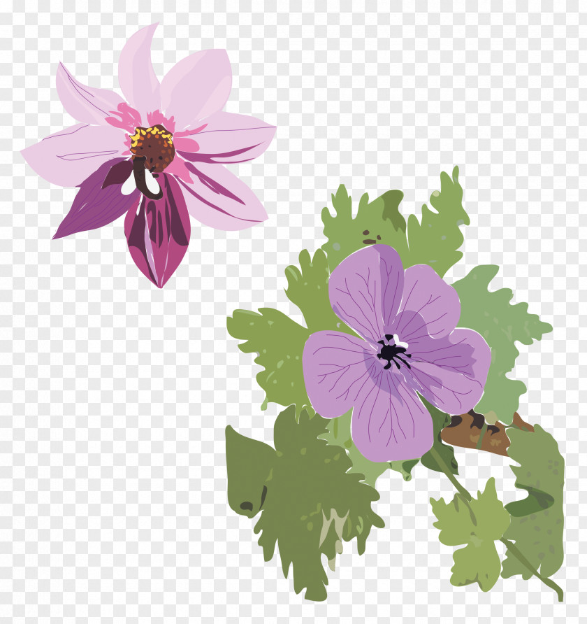 Brosure Annual Plant Violet Image Processing Flora PNG