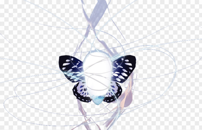 Butterfly Cocoon Bozzolo Icon PNG