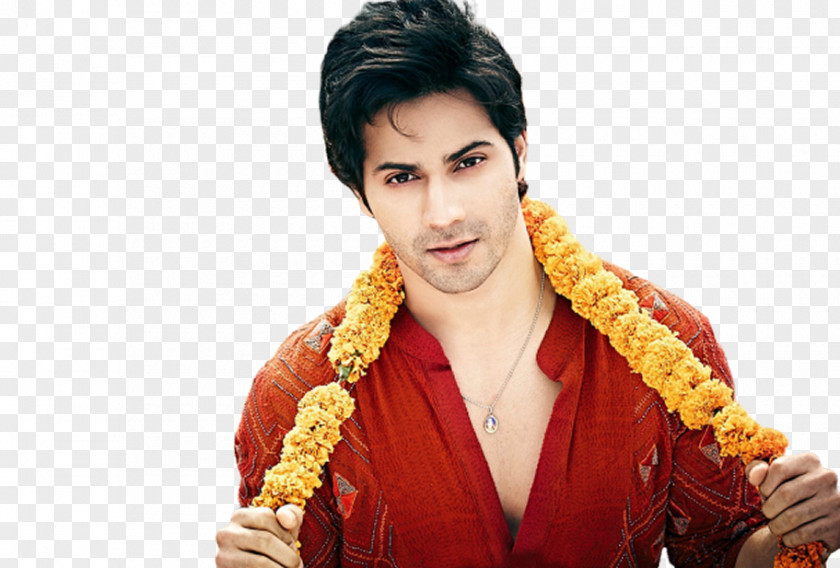 Humpty Sharma Ki Dulhania Varun Dhawan Film PNG