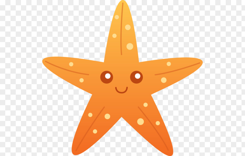 Sea Star Cartoon Drawing Starfish Clip Art PNG