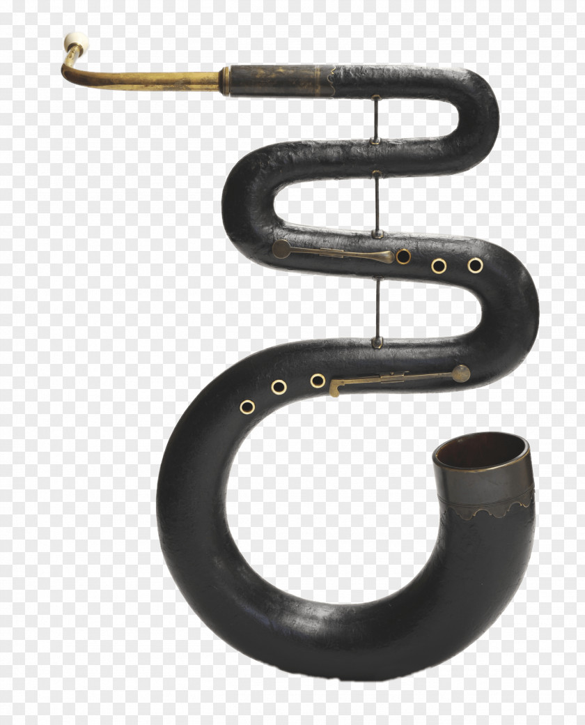 Serpent Musical Instruments Cornett Brass Buccina PNG