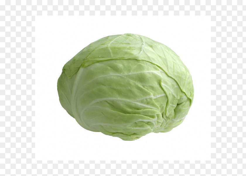 Cabbage Savoy Vegetable Food Cauliflower PNG