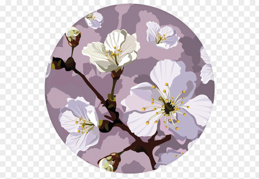 Sakura Flowers Blossom PNG