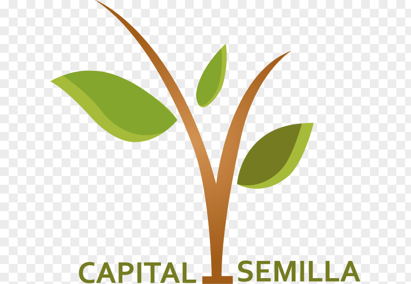 Semillas Seed Money Capital Funding Empresa Investor PNG