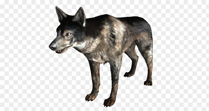 Wild Dogs Fallout 3 Fallout: New Vegas Dogmeat The Vault PNG