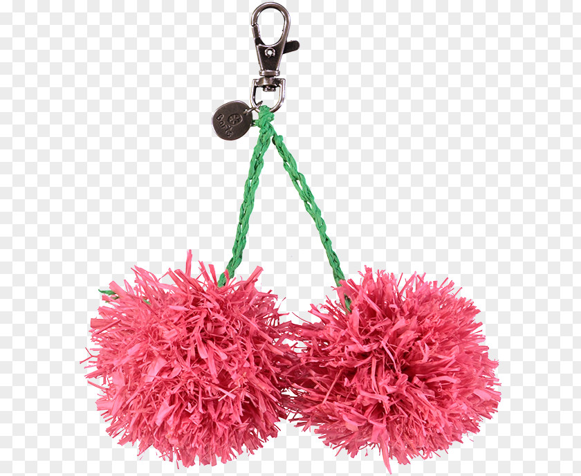 House Keychain Product Pink M PNG