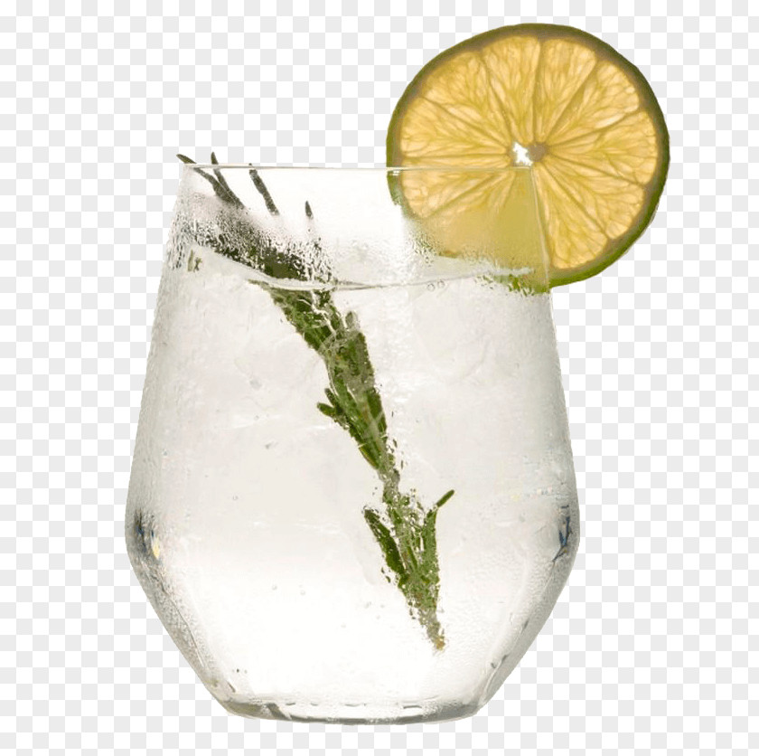 Plant Lemonade Lime Lemon-lime Vodka And Tonic Gin Highball Glass PNG