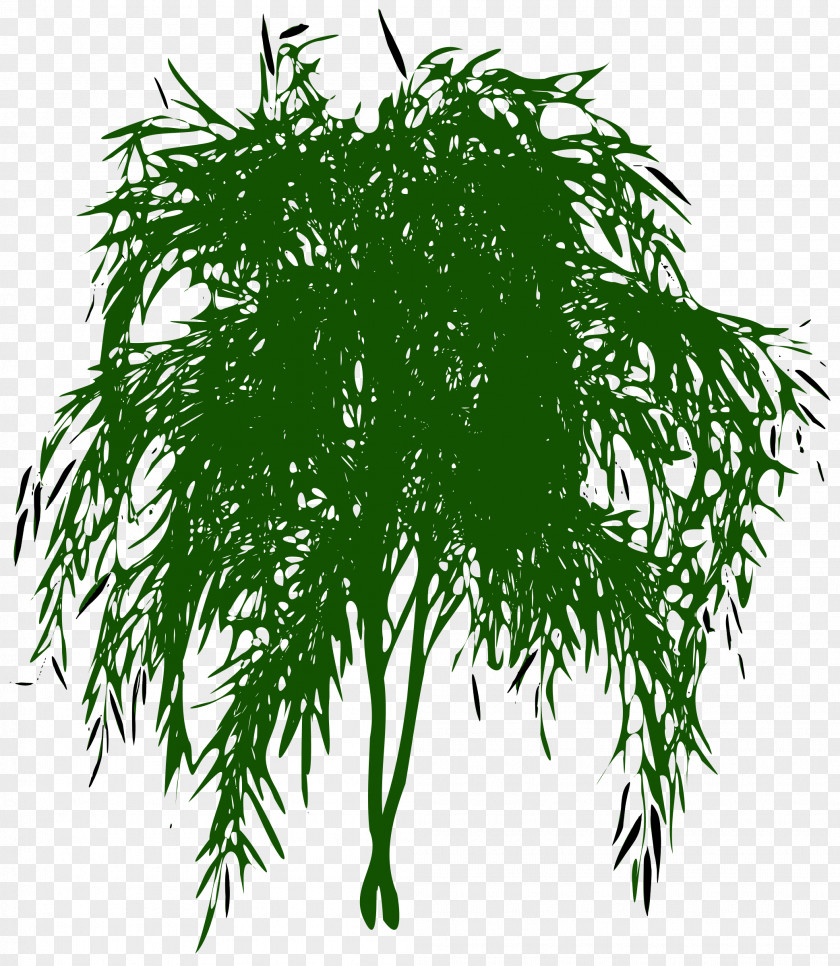 Plant Silhouette Clip Art PNG