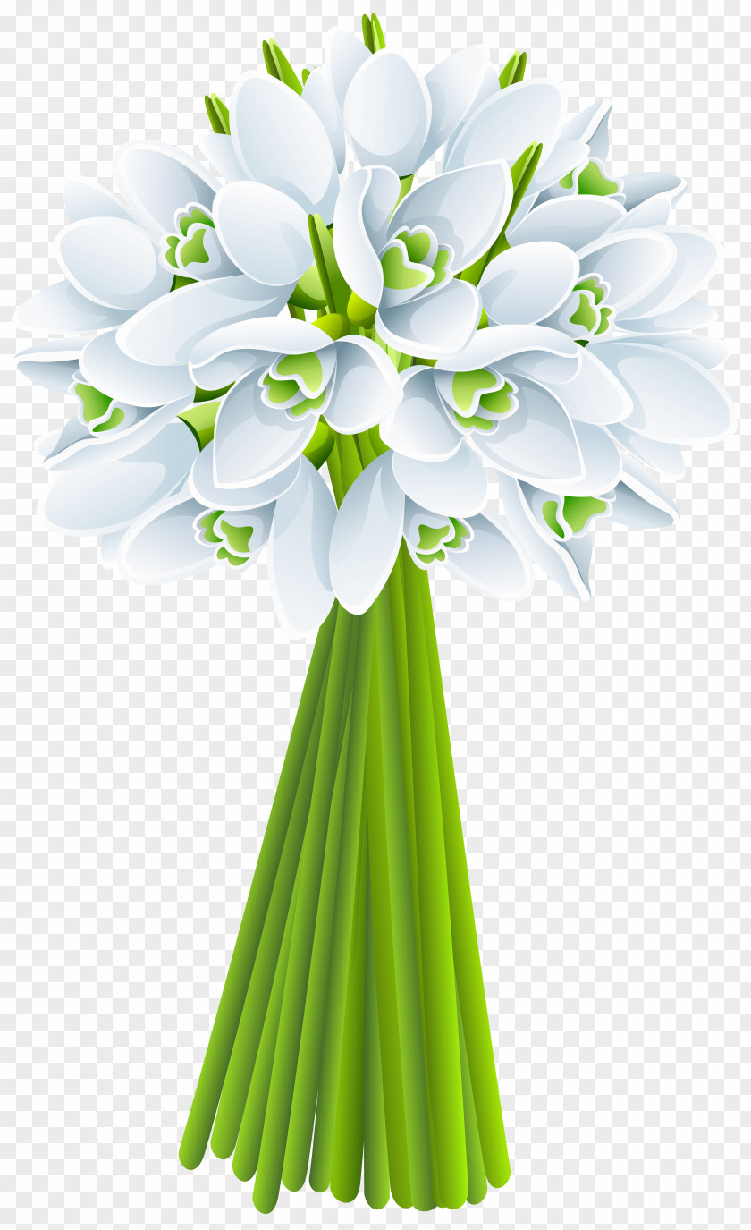 Snowdrop Floral Design Clip Art PNG