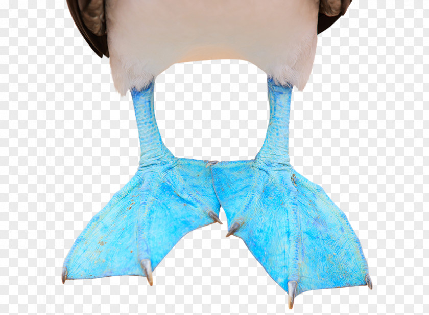 Two Feet Turquoise Neck PNG