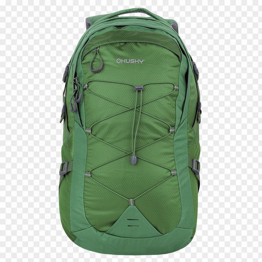 Backpack Green Travel Tourism Color PNG