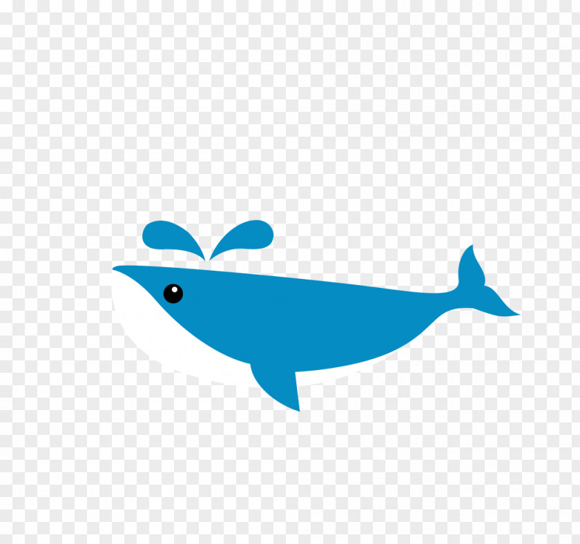 Blue Whale Shark Dolphin Clip Art PNG