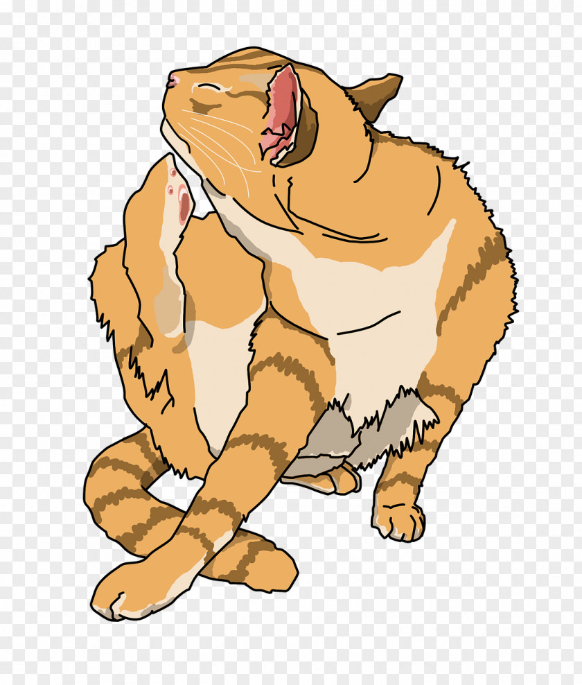 Cat Tiger Drawing PNG