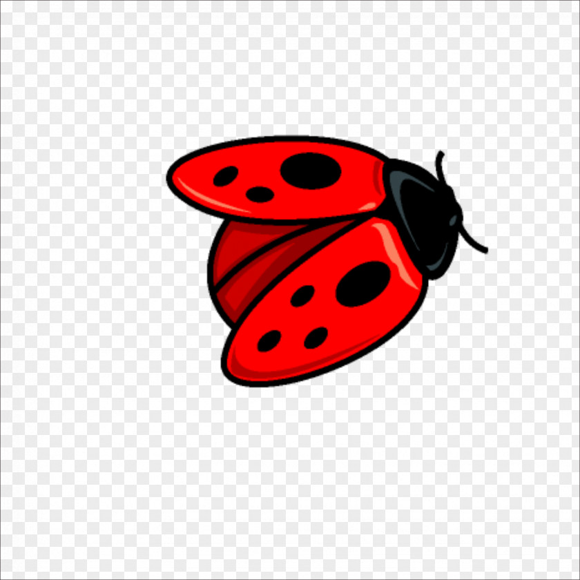 Ladybug Beetle Coccinella Septempunctata Free Ladybird Drawing PNG