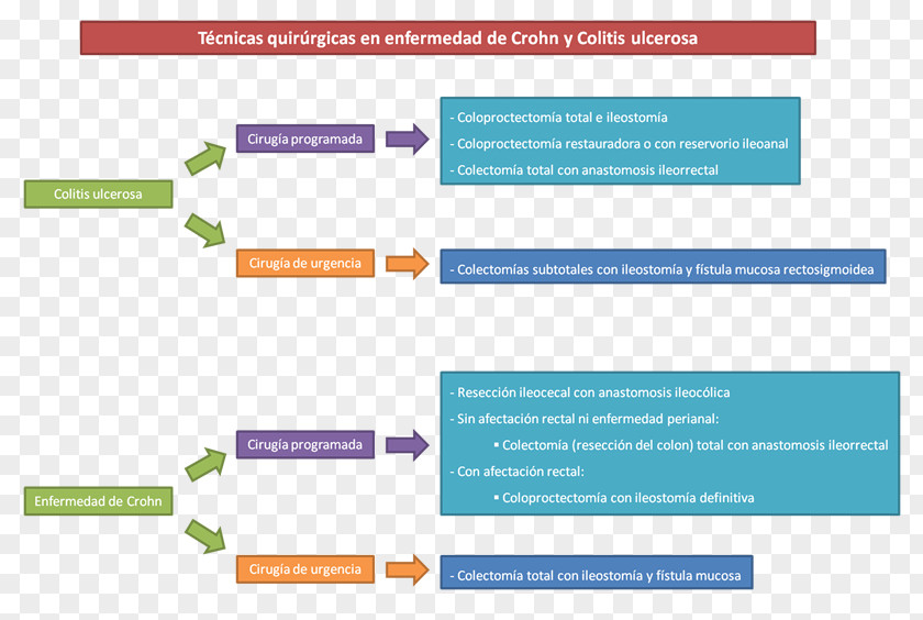 Surgery Inflammatory Bowel Disease Ulcerative Colitis Crohn's Colon PNG
