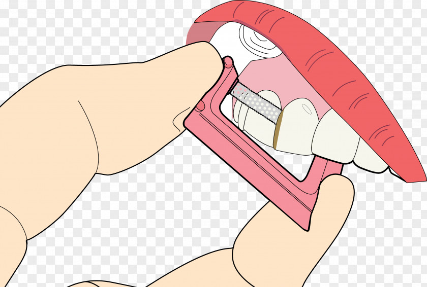 Tooth Dental Floss Hygienist Dentistry PNG