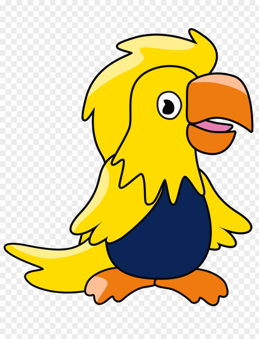 Bird Beak Perroquet Clip Art PNG