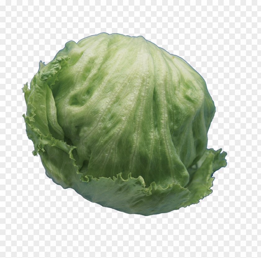 Cabbage Chinese Cuisine Celtuce Vegetable PNG