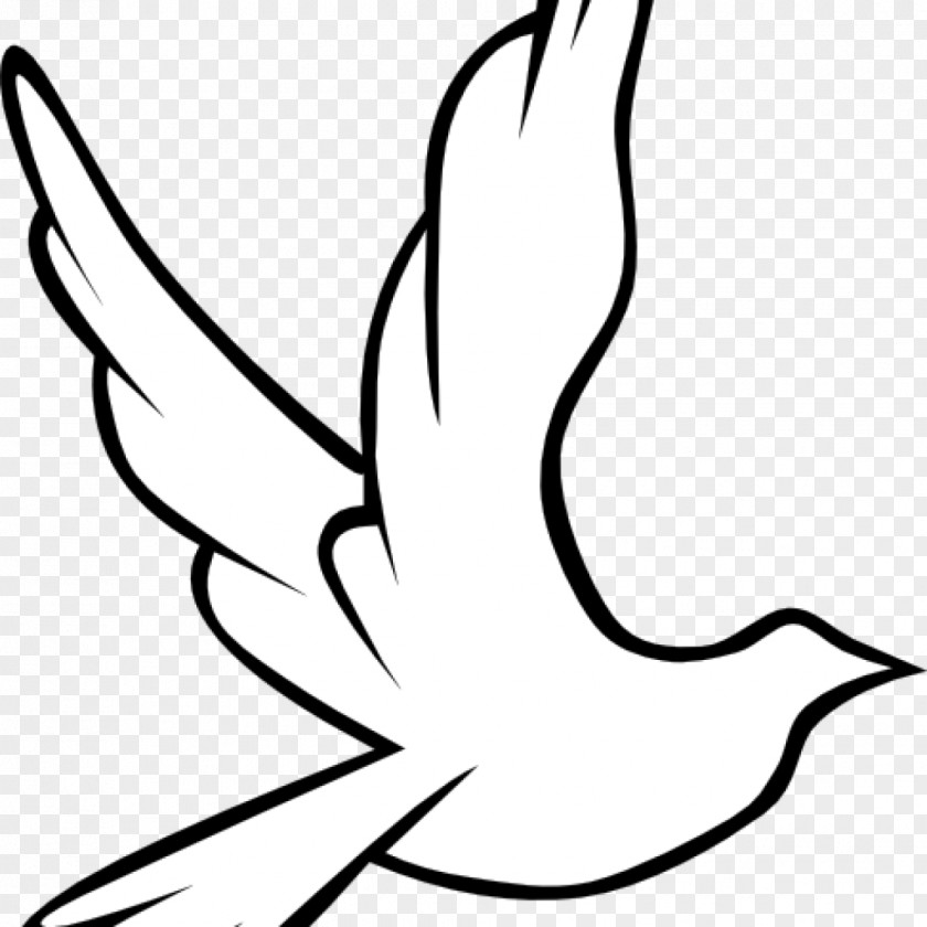 Dove Cross Clip Art Vector Graphics Image Pigeons And Doves Illustration PNG