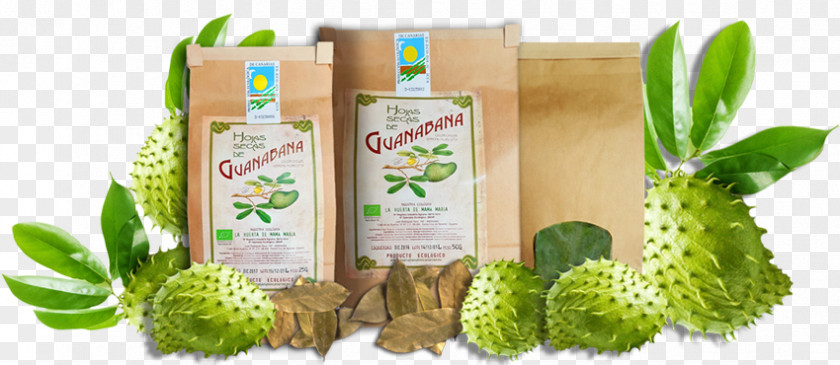 Dried Leaves Natural Foods Superfood Herbalism PNG