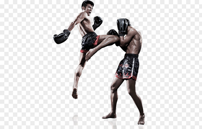 Fighting Muay Thai Kickboxing Mixed Martial Arts PNG