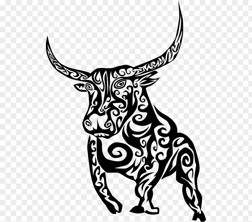 Flame Abstract Background Texas Longhorn Line Art Drawing Bull Clip PNG