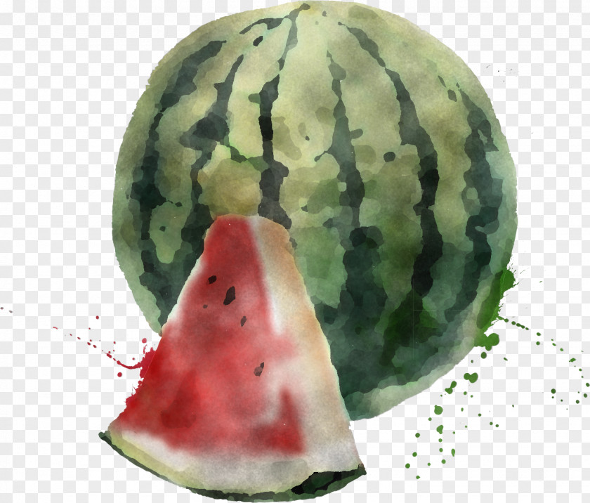 Watermelon M PNG