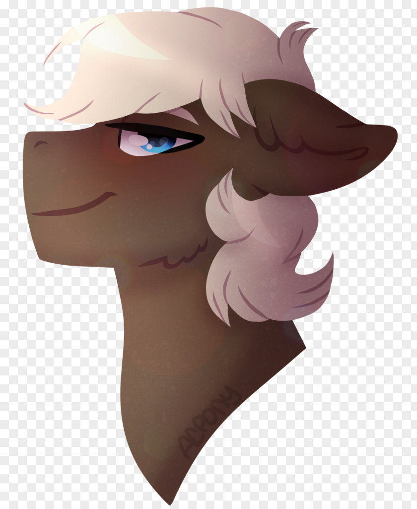 Horse Nose Mammal Character PNG