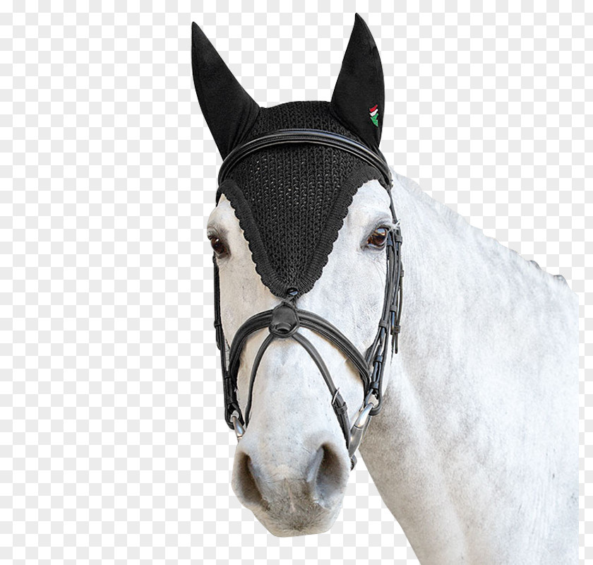 Horse Tack Equestrian Clothing Veil PNG