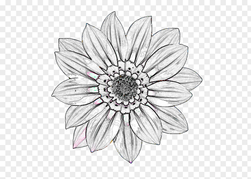 Line Cut Flowers White Symmetry Sketch PNG