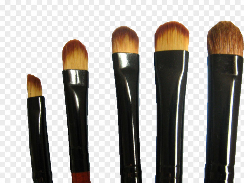 Shading Pattern Paint Brushes Make-Up Eye Shadow PNG