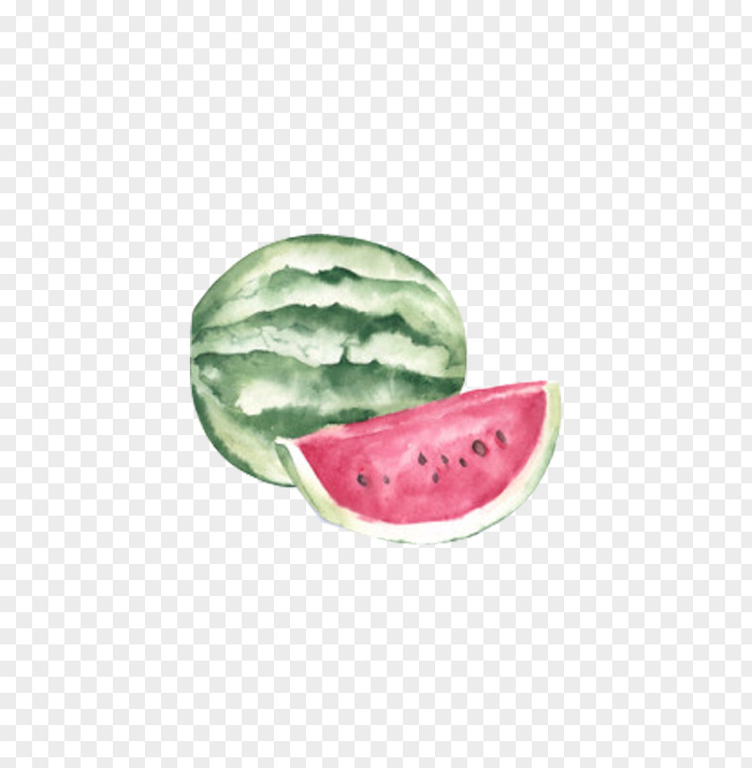 Watermelon Painting Watercolor Canvas PNG