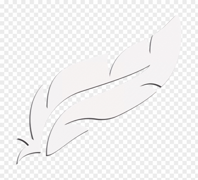 Bird Icon Feathers Feather PNG