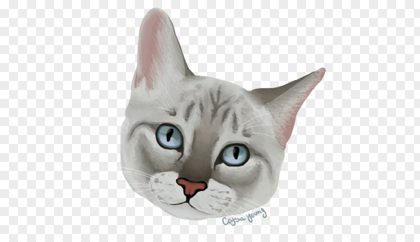 Cartoon Watercolor Whiskers American Wirehair Domestic Short-haired Cat Asia Snout PNG