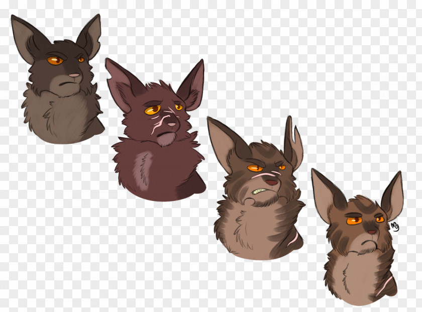 Cat Warriors ThunderClan Tigerstar Pinestar PNG