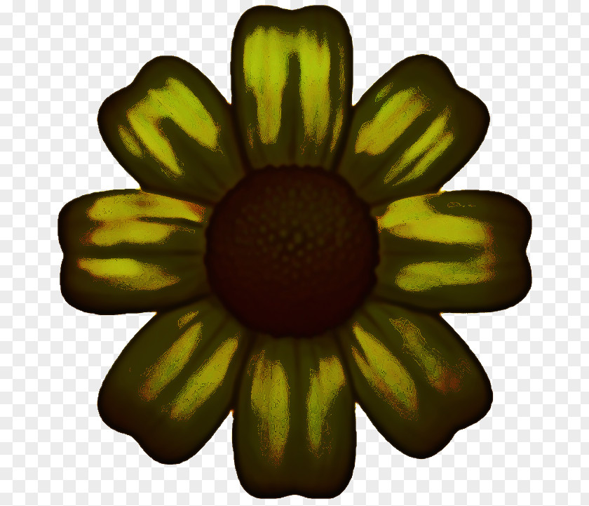 Daisy Family Blackeyed Susan Music Background PNG