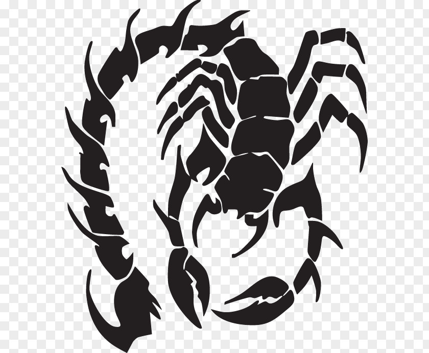 Scorpion Tattoo Image Tribe PNG