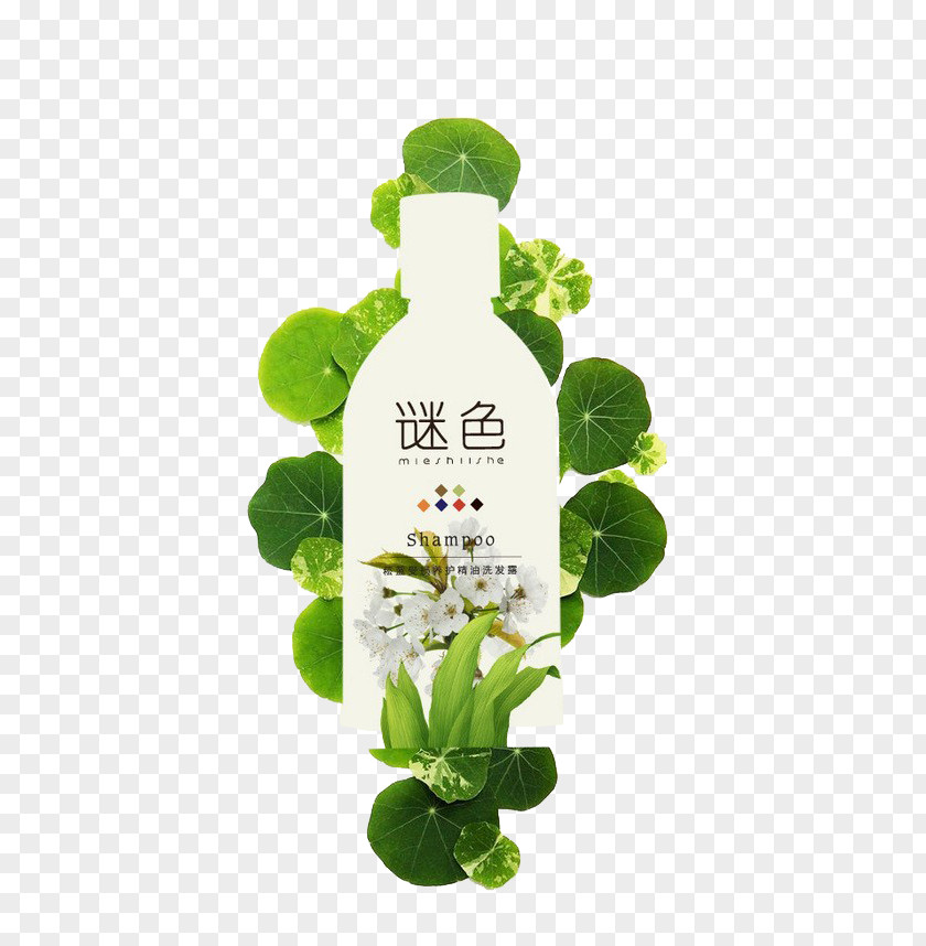 Shampoo Bottle Hair Conditioner Plant PNG