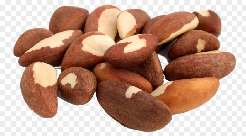 Brazil Nut Organic Food Dried Fruit Nuts PNG nut food Nuts, brazil nuts clipart PNG