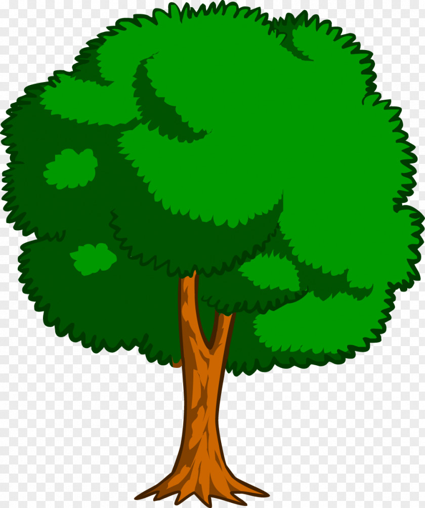 Cartoon Tree Drawing Trees Clip Art PNG