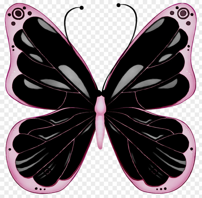 Glasswing Butterfly Clip Art Pink Image PNG